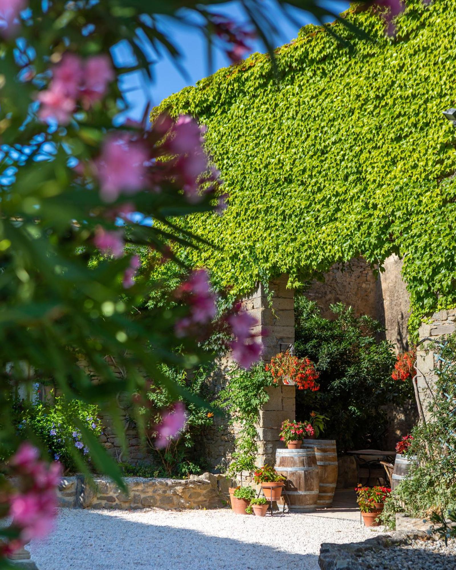 Gasthaus Domaine De Palatz Laure-Minervois Exterior foto
